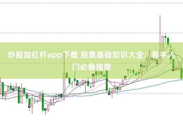 炒股加杠杆app下载 股票基础知识大全：新手入门必备指南