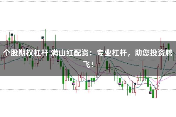 个股期权杠杆 满山红配资：专业杠杆，助您投资腾飞！