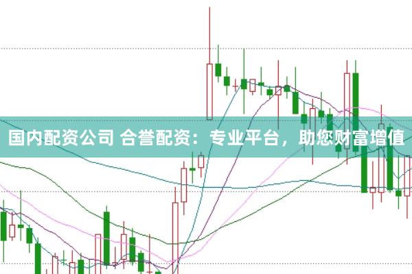 国内配资公司 合誉配资：专业平台，助您财富增值