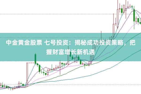 中金黄金股票 七号投资：揭秘成功投资策略，把握财富增长新机遇
