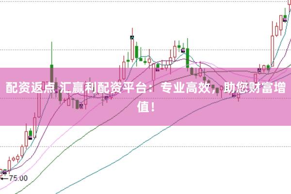 配资返点 汇赢利配资平台：专业高效，助您财富增值！