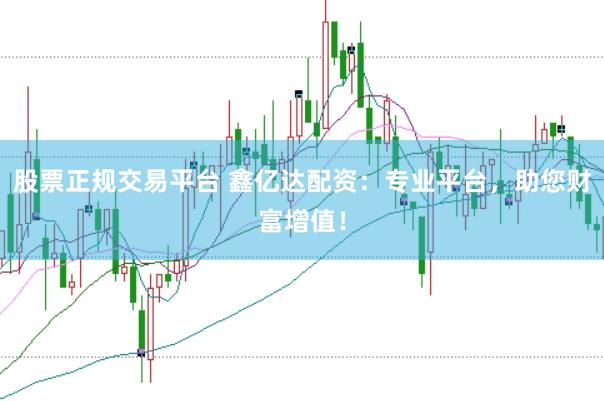 股票正规交易平台 鑫亿达配资：专业平台，助您财富增值！