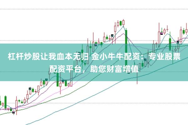 杠杆炒股让我血本无归 金小牛牛配资：专业股票配资平台，助您财富增值