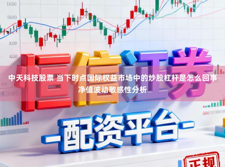 中天科技股票 当下时点国际权益市场中的炒股杠杆是怎么回事净值波动敏感性分析